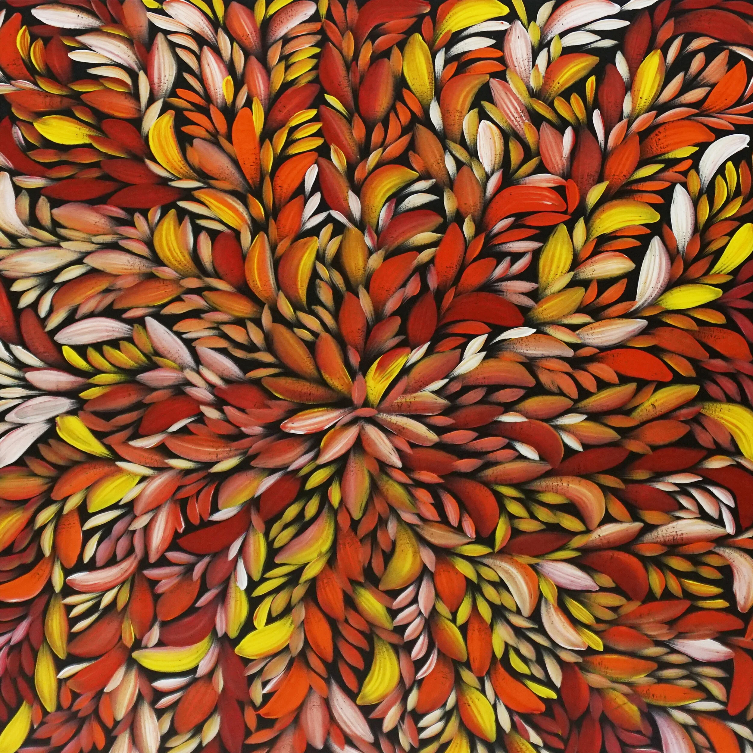 Bush Medicine Leaves — Red